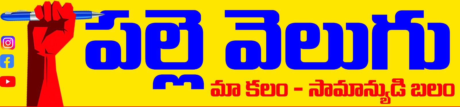 PALLEVELUGU NEWS